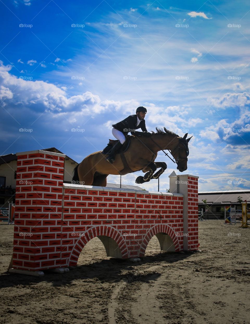 Horse jump 