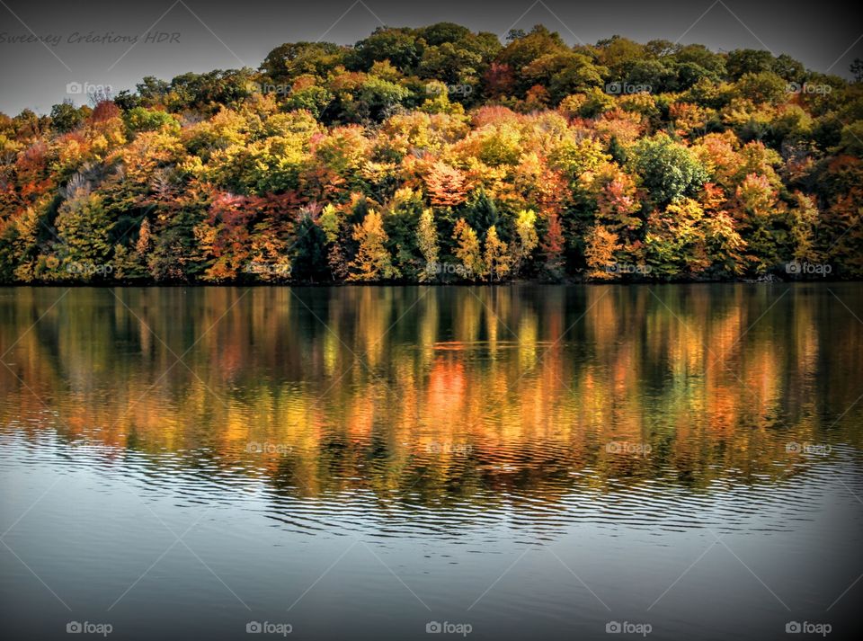 Autumn forest reflected in lake