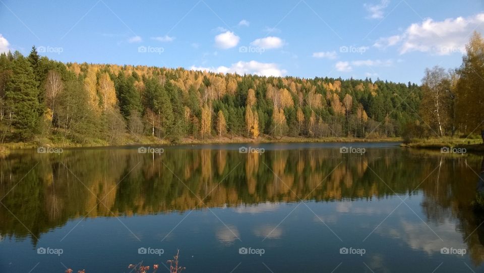 The Autumn. Gold Autumn in Urals
