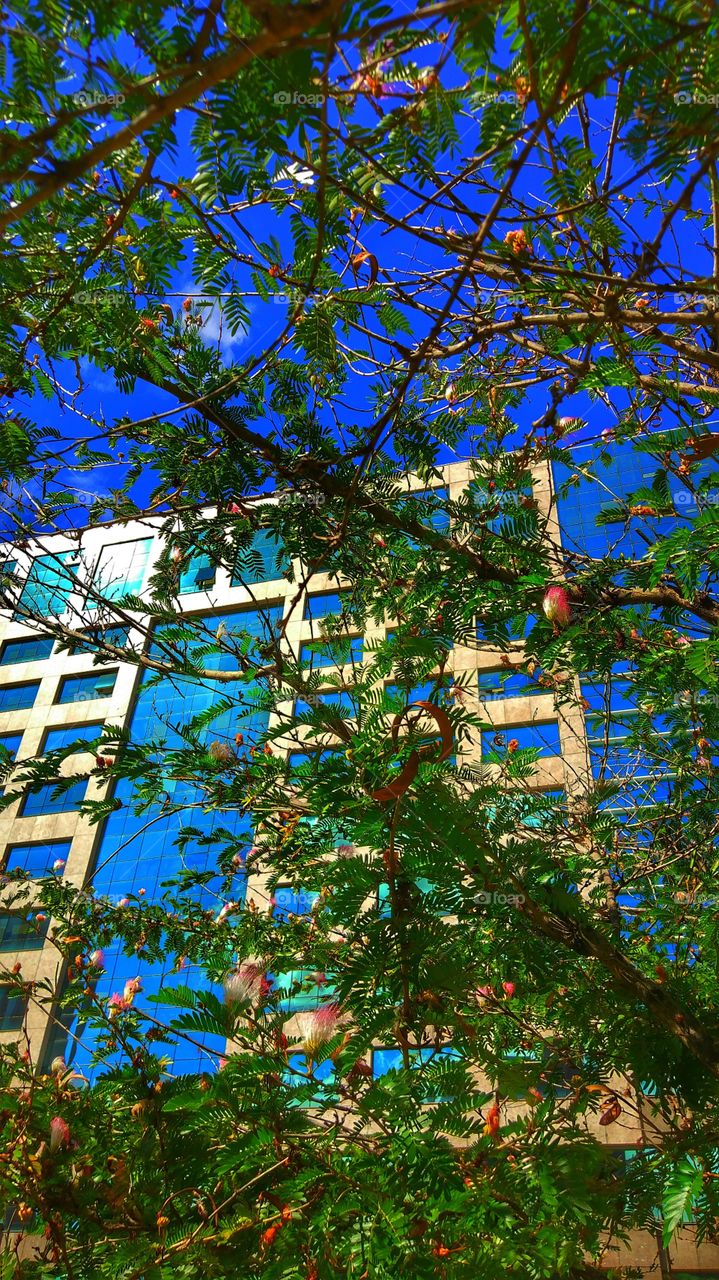 Prédio Brasilia DF Brazil