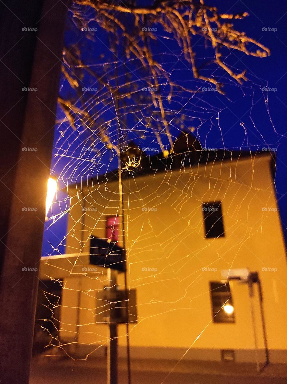 Mix of photos to sell