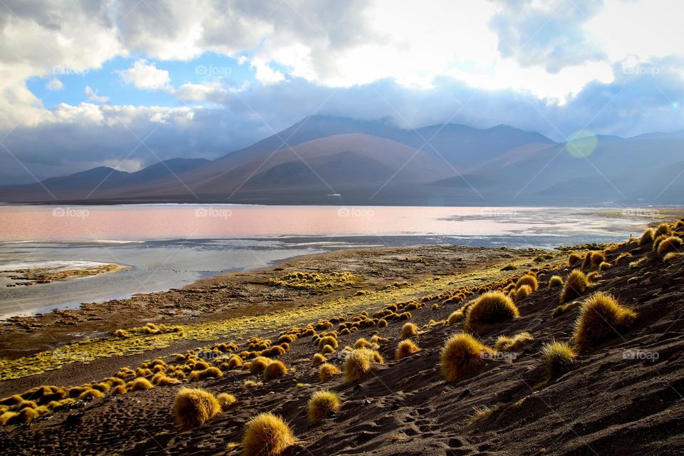 Laguna Colorado, Bolivia