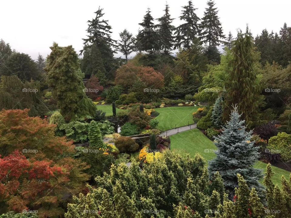Park in Vancouver 