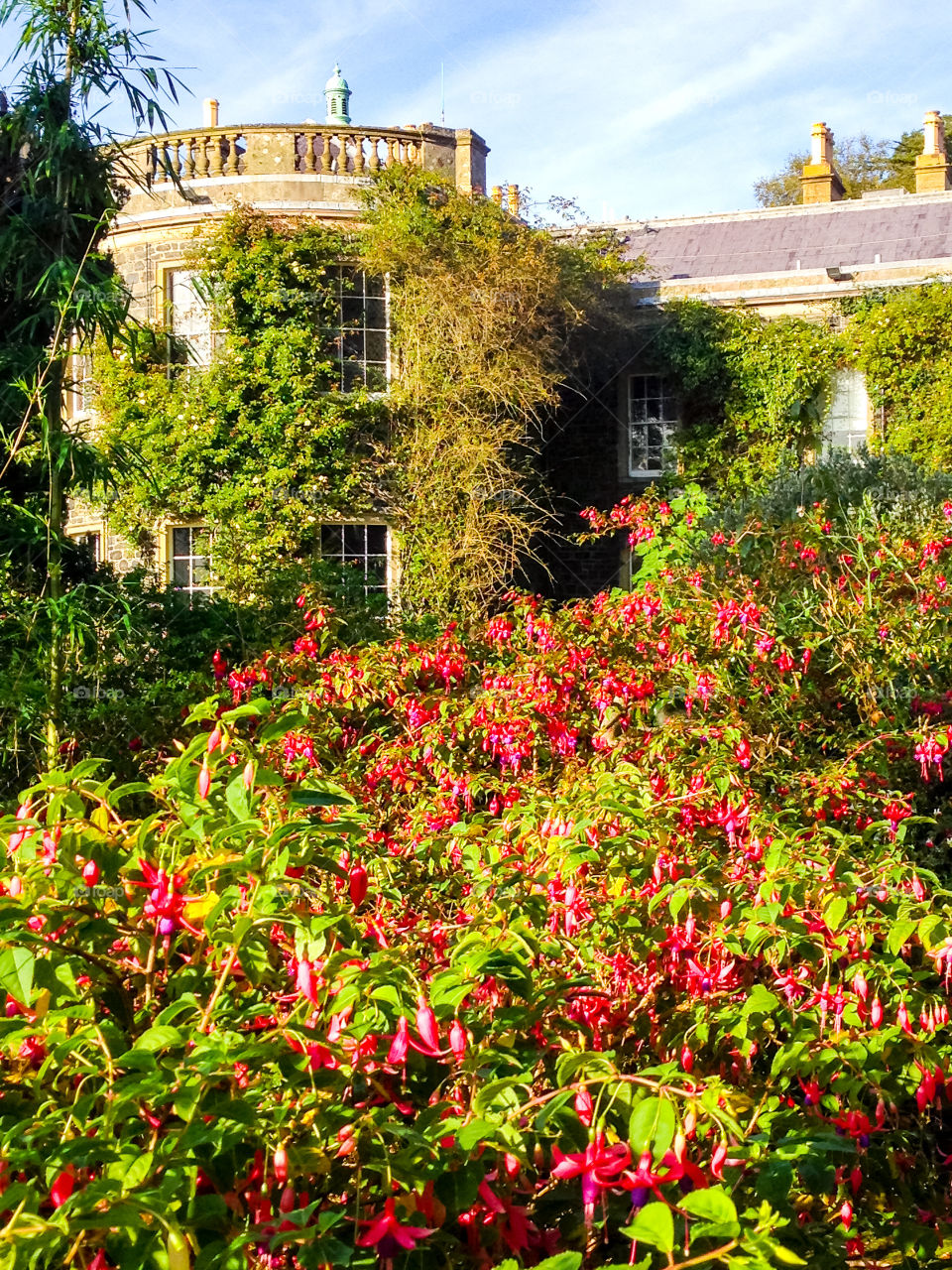 Mount Stewart N Ireland