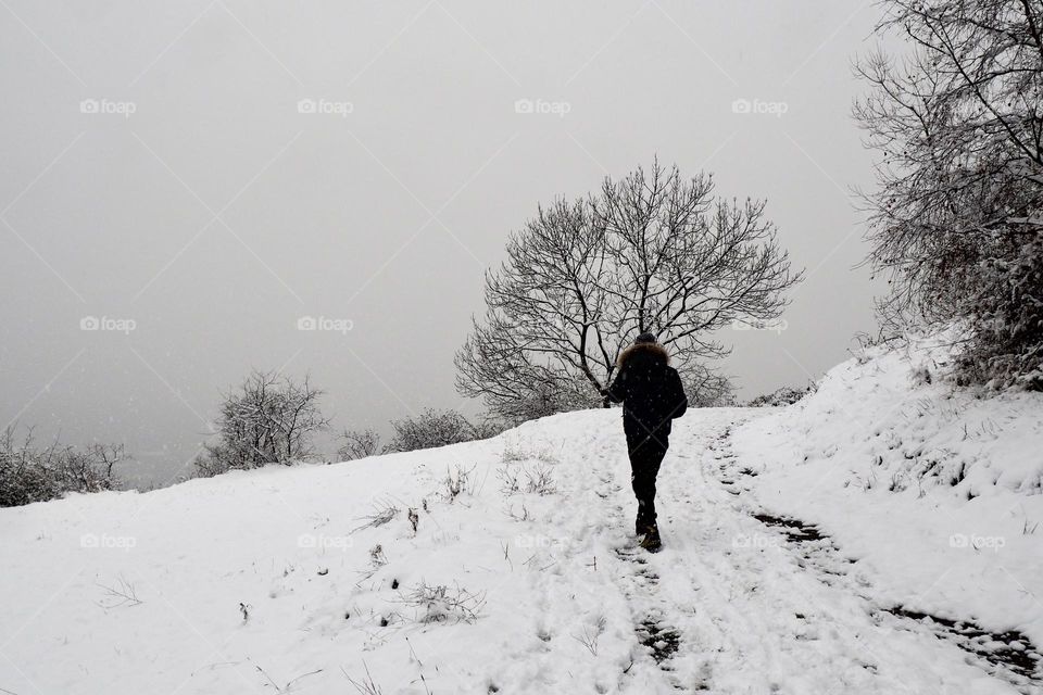 Just walking in the snow 