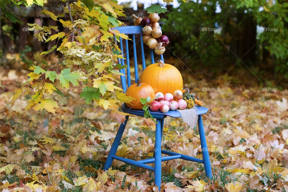 autumn, pumpkins time