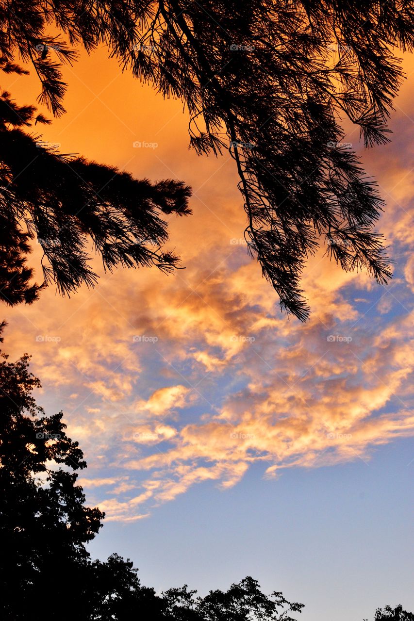 Beautiful sky in Indiana 