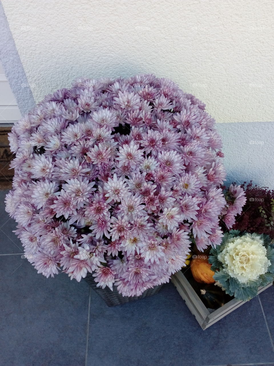 beautiful flowers pot in Autumn
