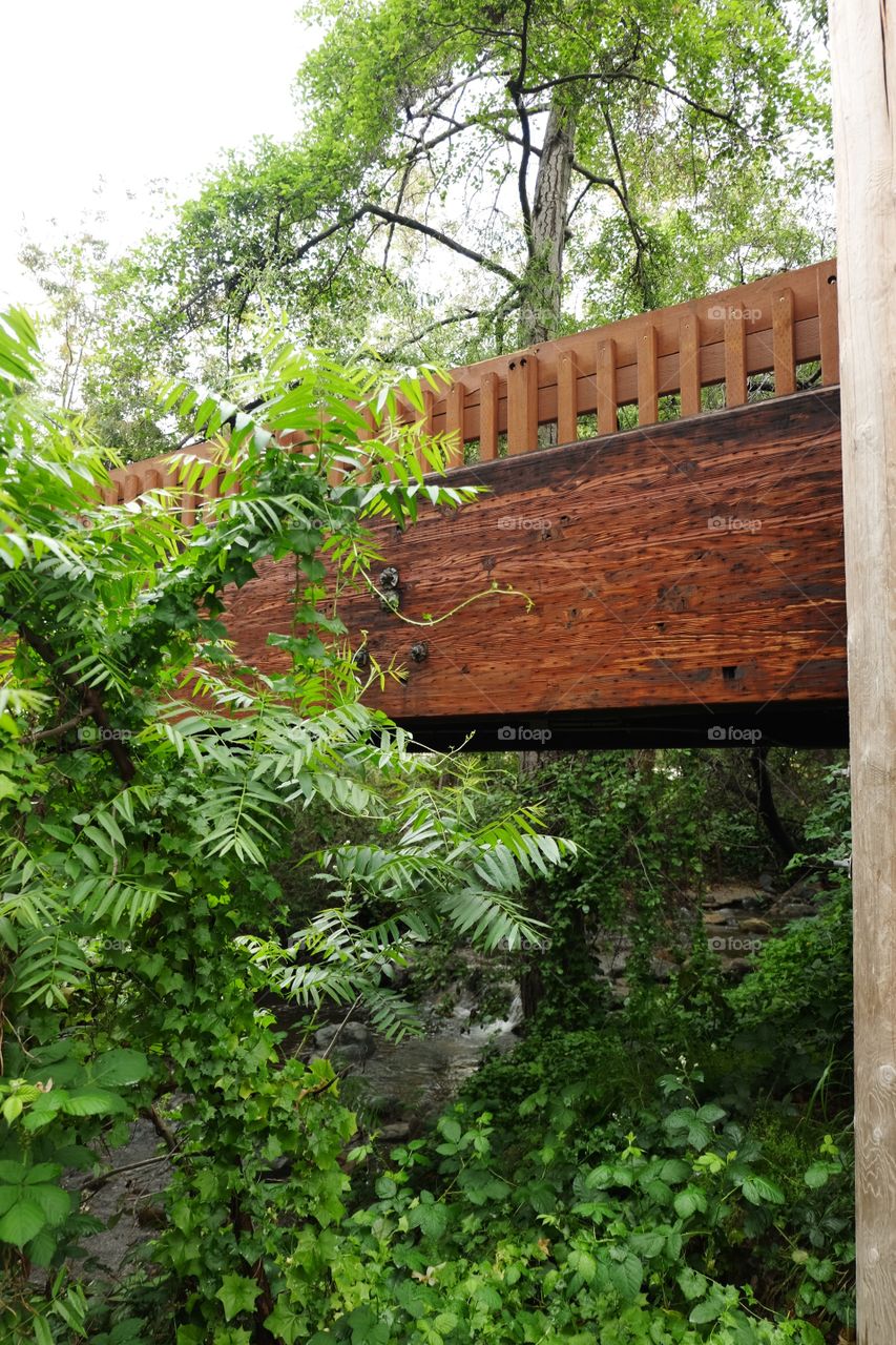 Wooden bridge over a stream  in a forest