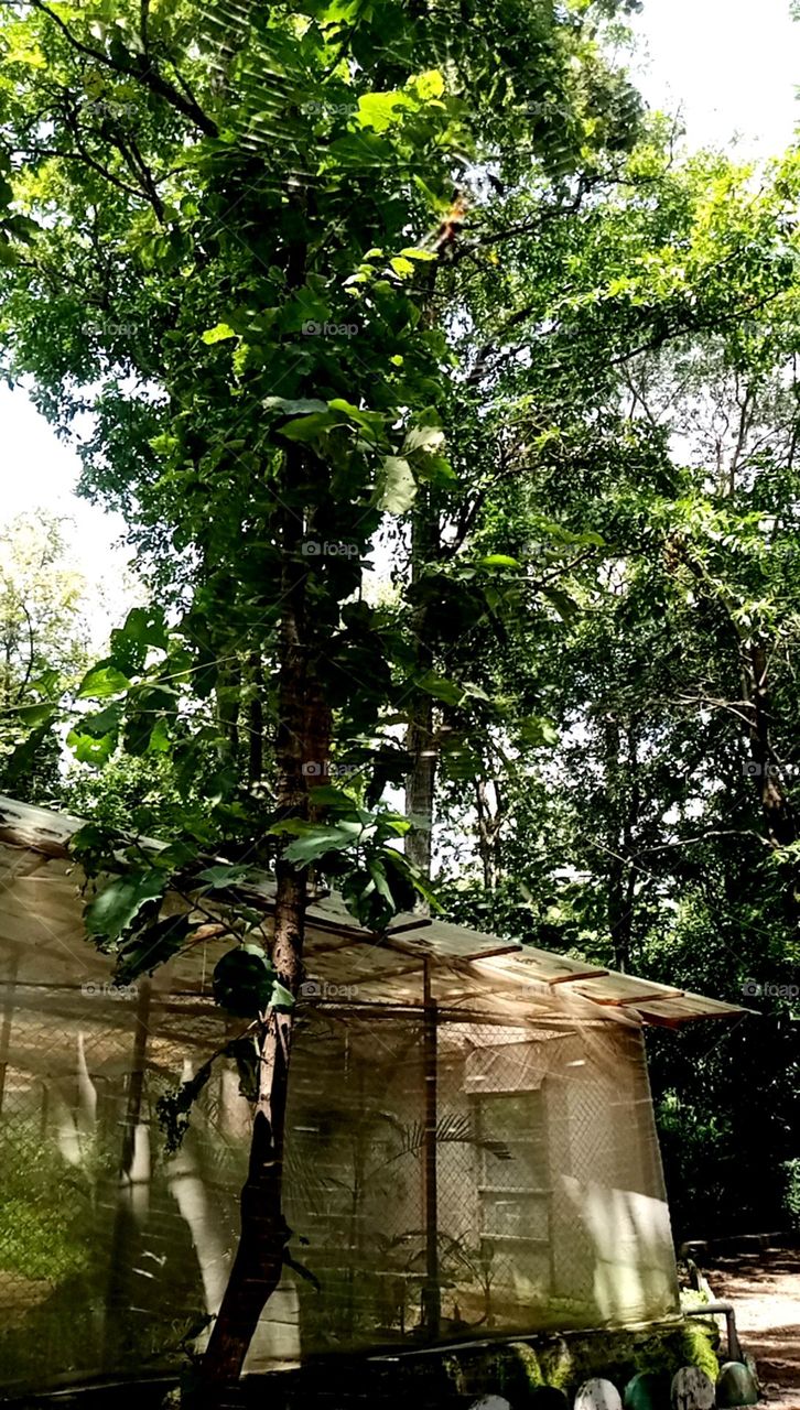 So nice and beautiful place it's a clean and nice nursery so green place and so peaceful land