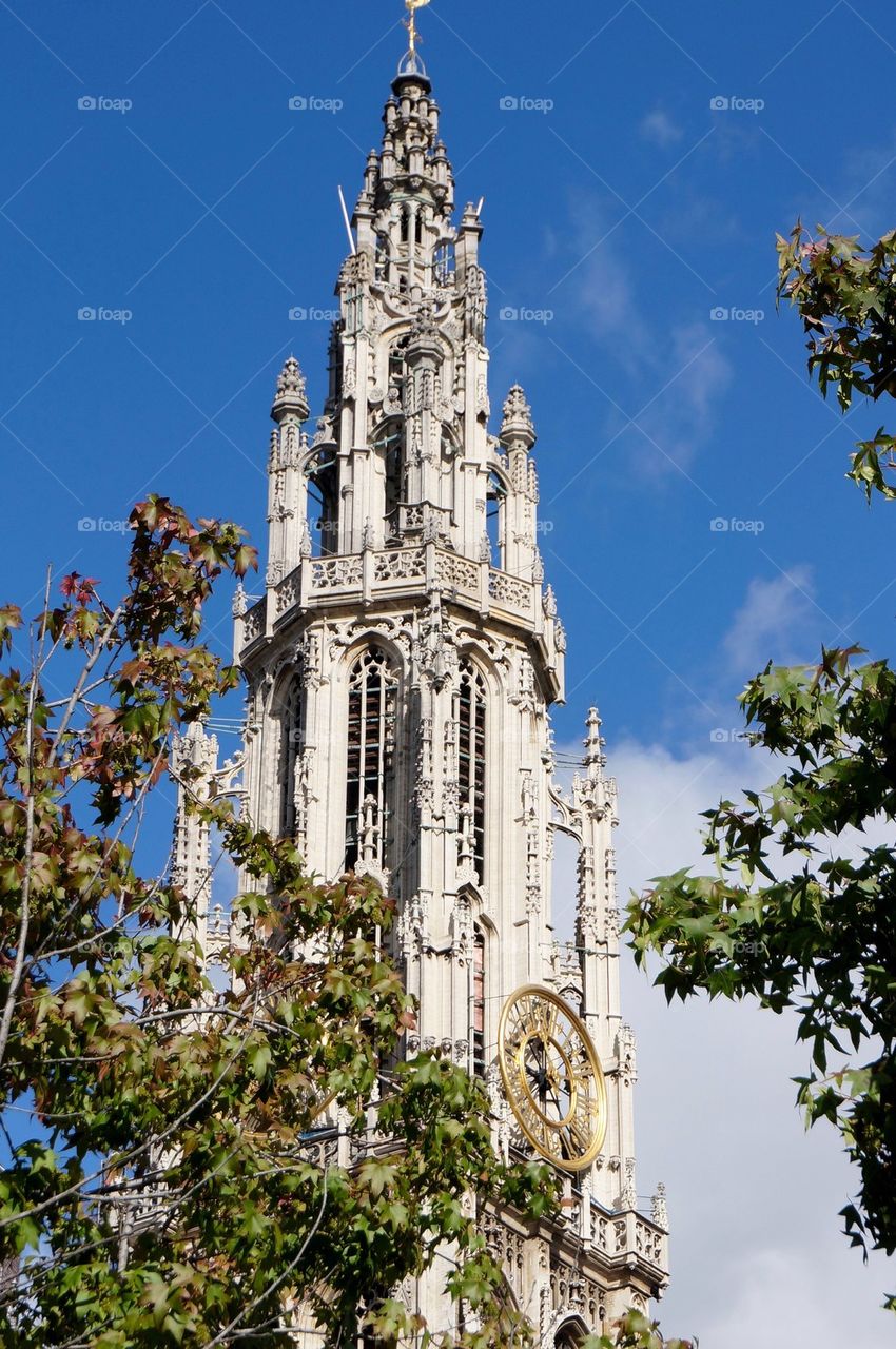 Bell tower of the cathedral of Antwerp.