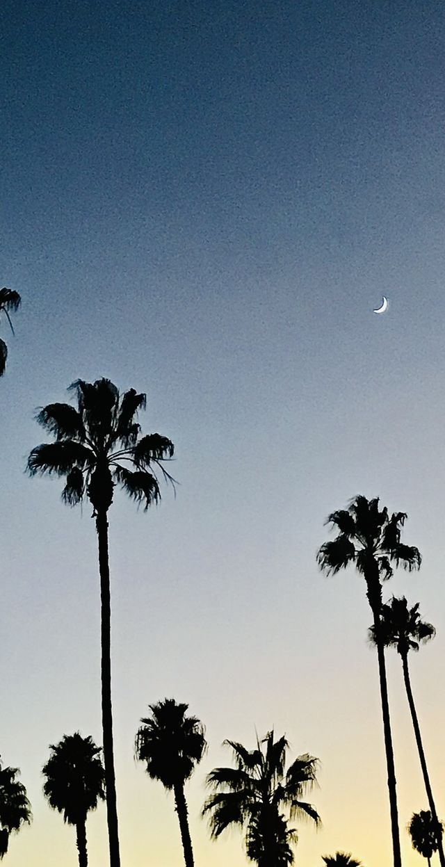 Half moon 
