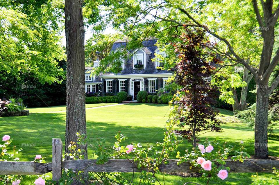 Martha's Vineyard cottage. Adorable cottage with lovely Landscaping on Martha's Vineyard in Cape Cod Massachusetts