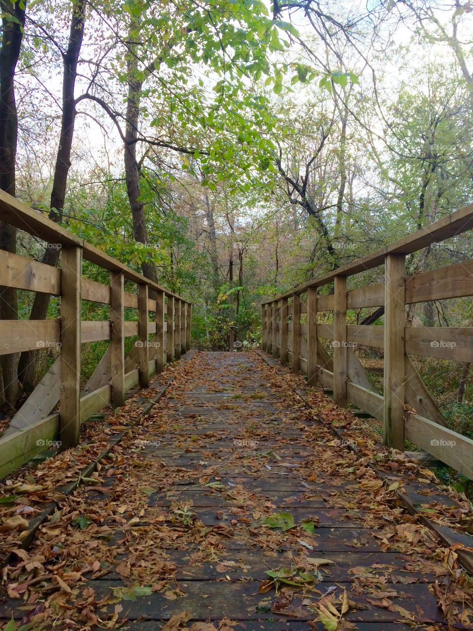 bridge for walking path nature. walking path in nature with bridge in autumn Fall season in Quebec Canada
