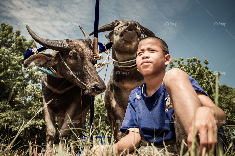 my friend . children and buffalo 