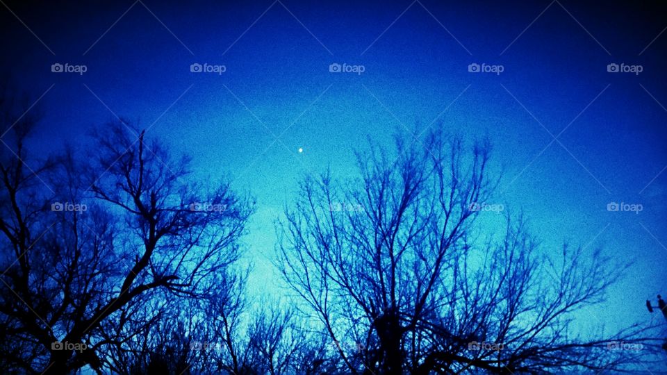 Scenic view of nature