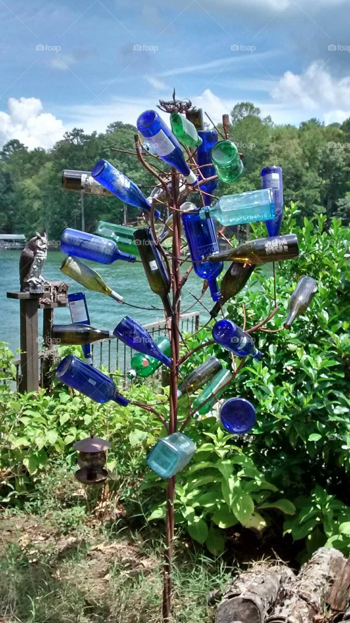 Blue bottle tree