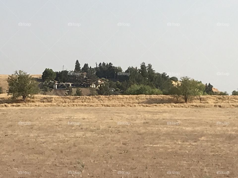 A house covered by trees at the horizon. It would be an excellent home to live in, away from the stressful, busy city.
