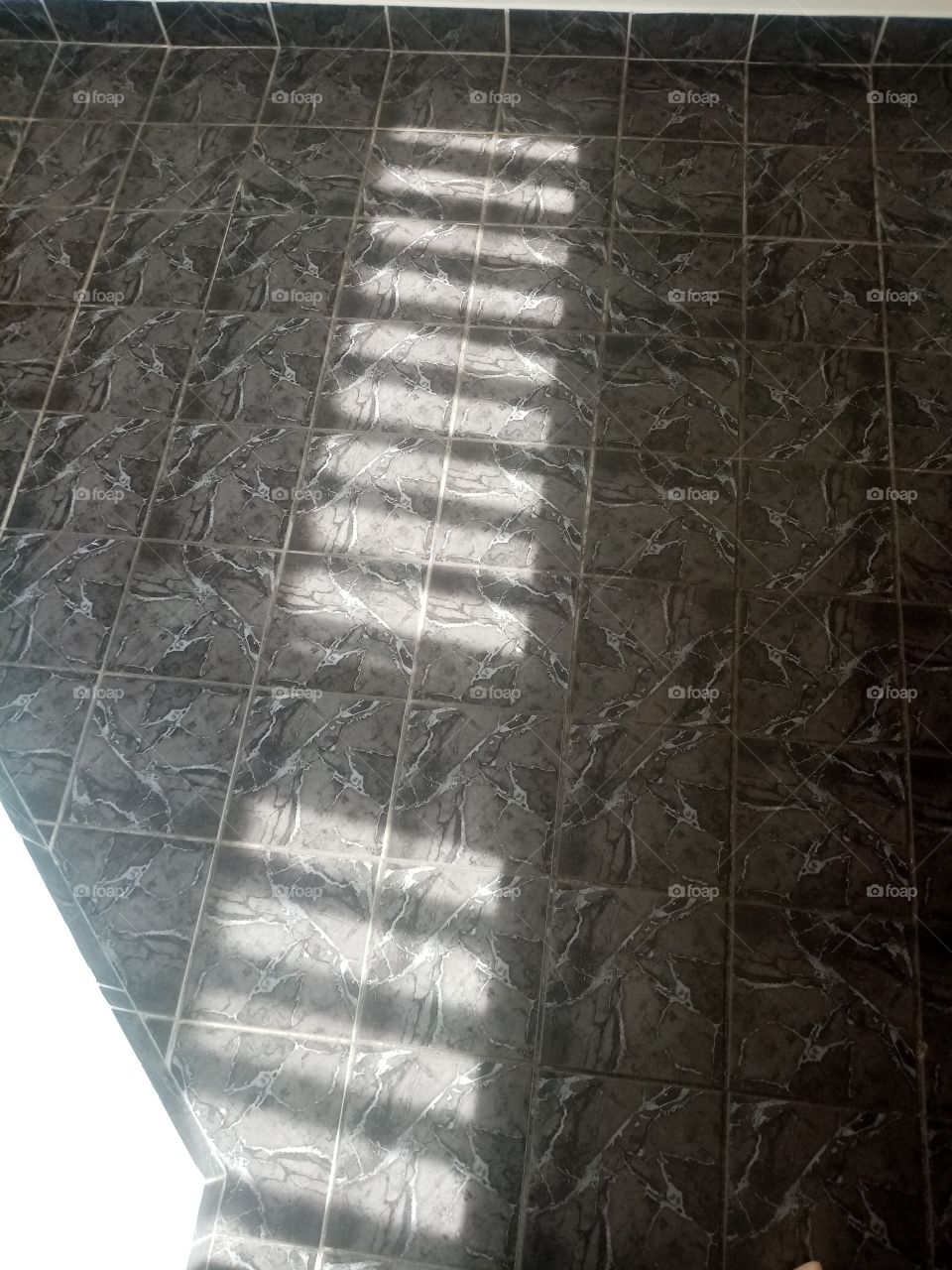 Looking for the Shadow