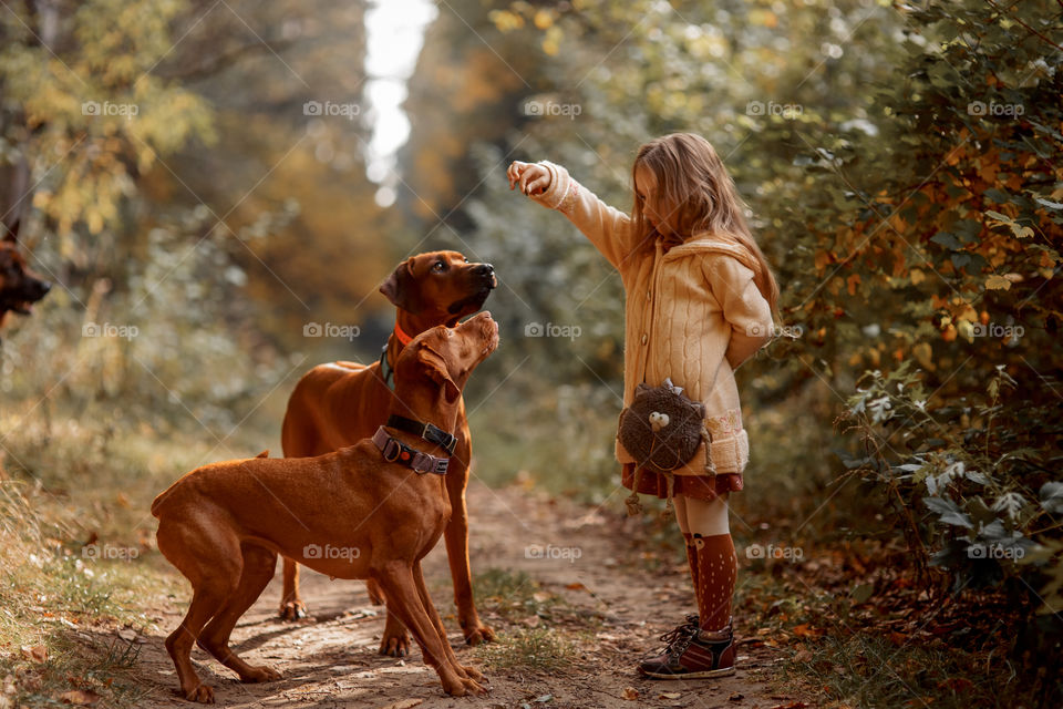 Little girl playing with dogs in an autumn park