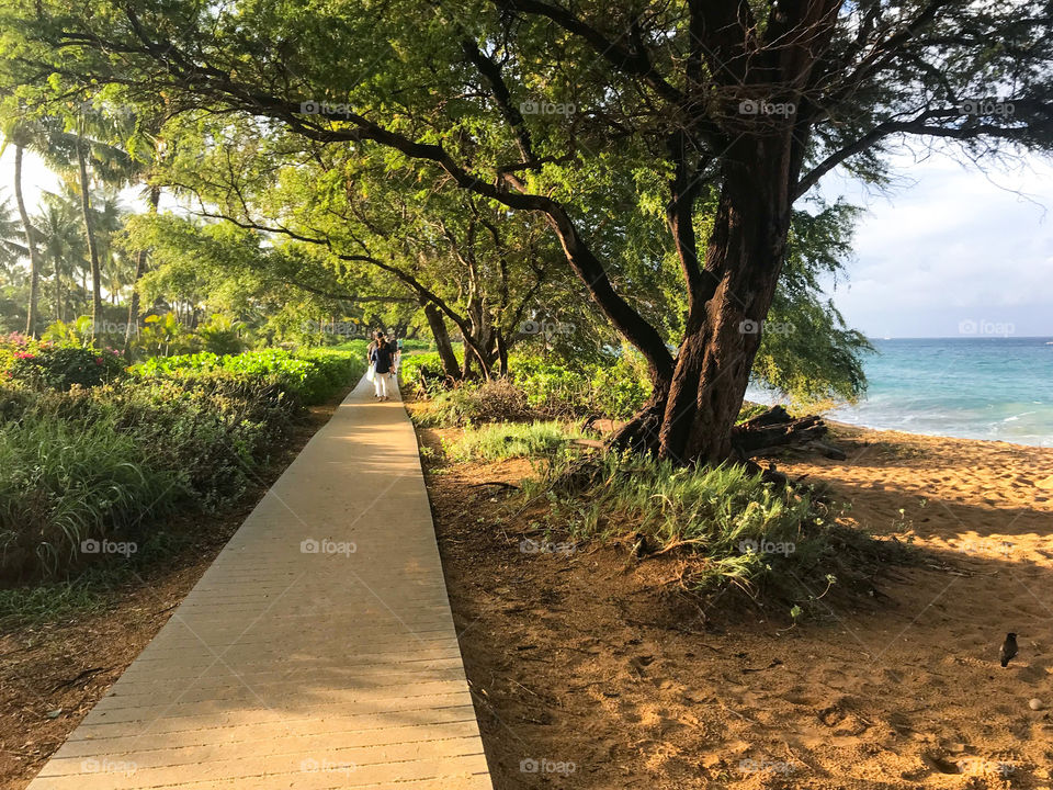 Maui path