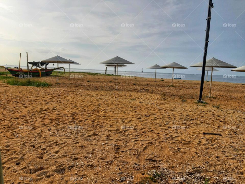 the beach and its umbrellas