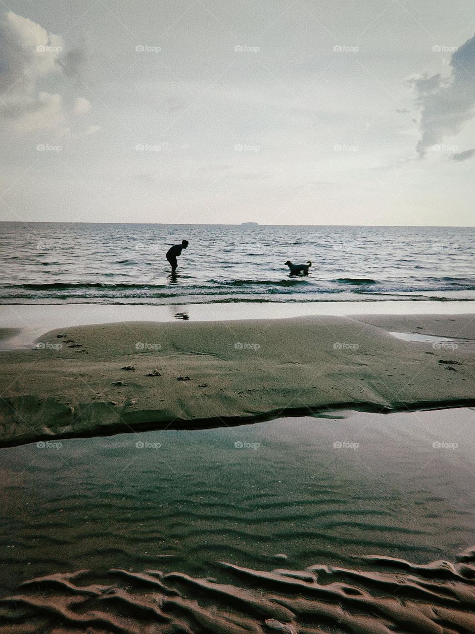 Young man playing with his dog.