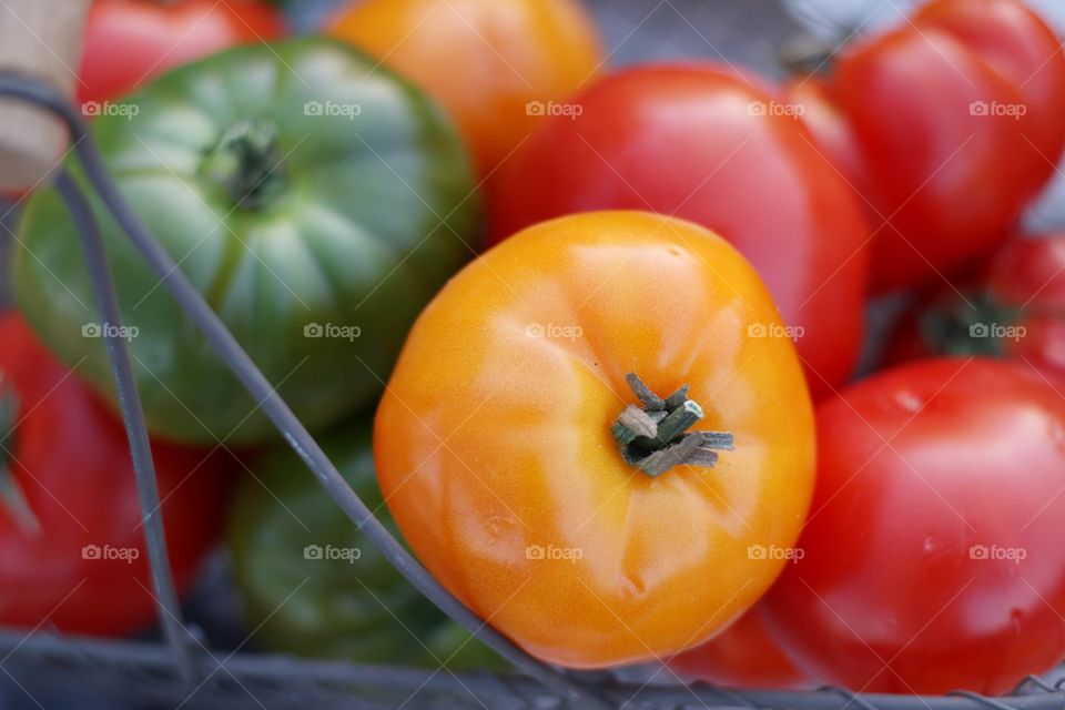Tomatoes in a basket