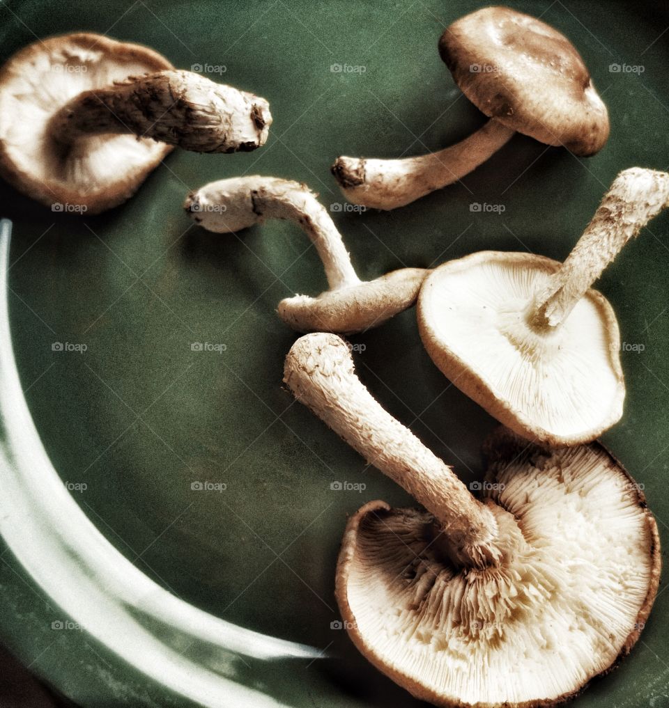 Food. Mushrooms