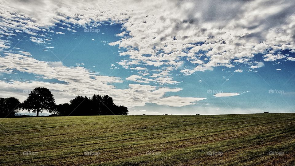 Field & sky