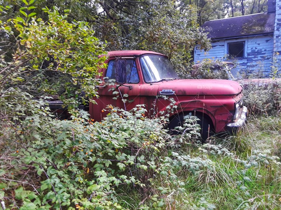 abandoned truck