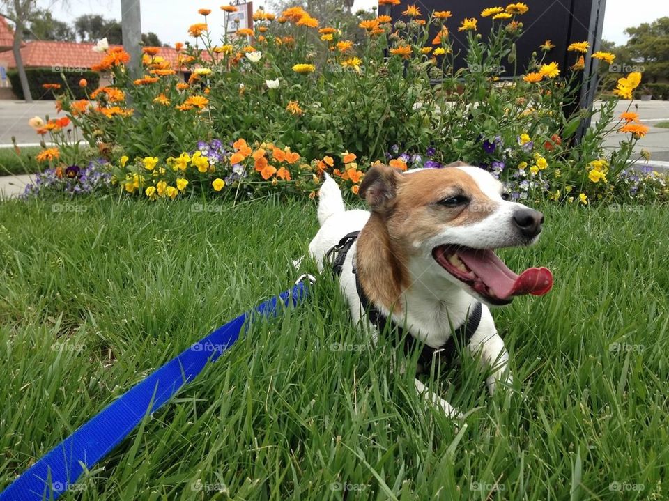 Spring is in the air 