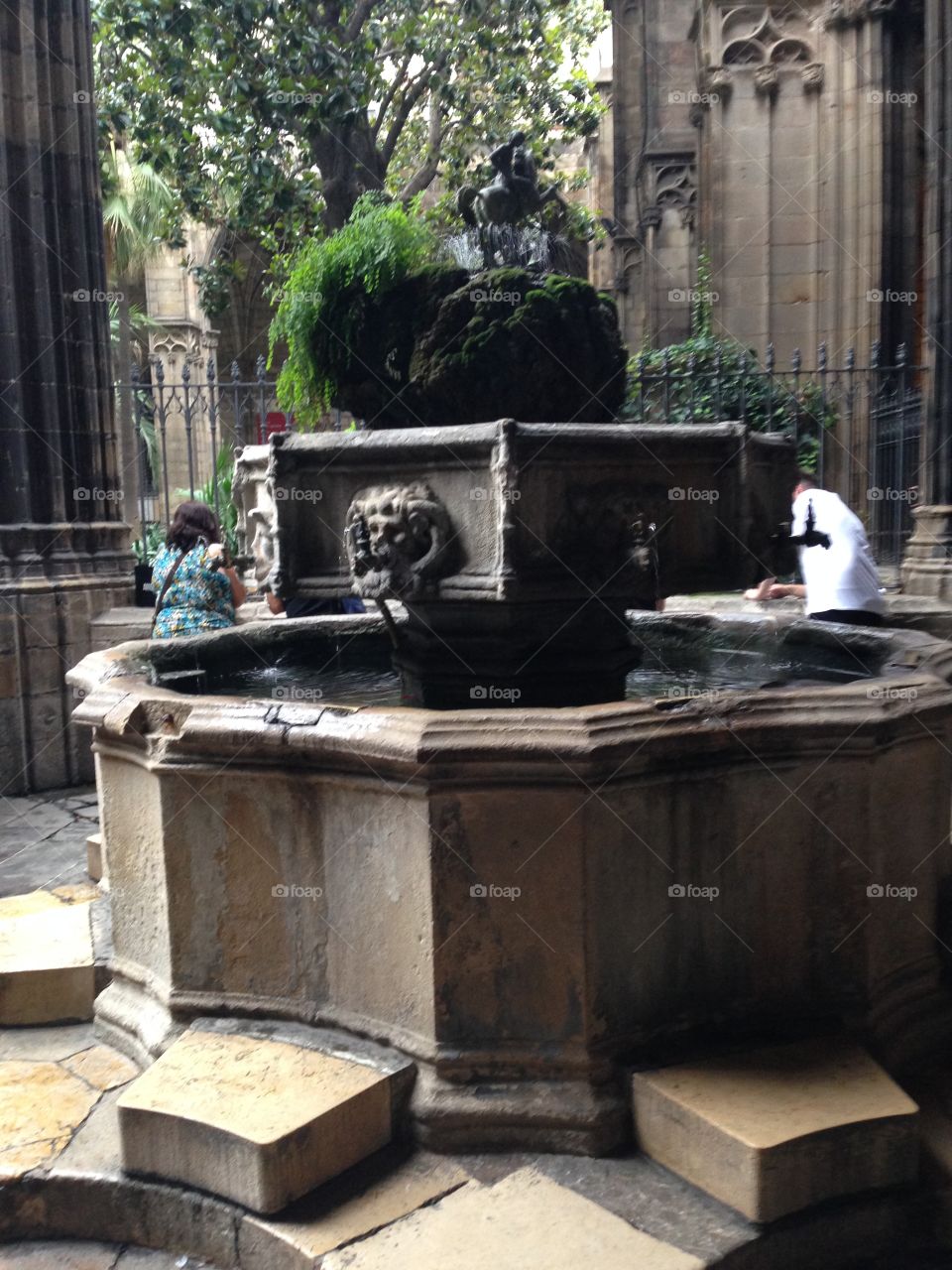 Barcelona cathedral fountain 