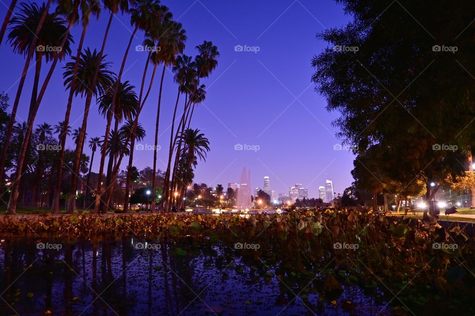 Los Angeles California Echo park 