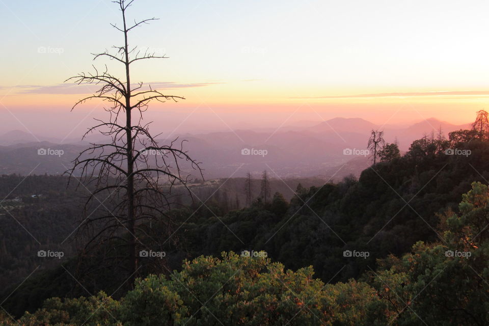 Sequoia National Forest