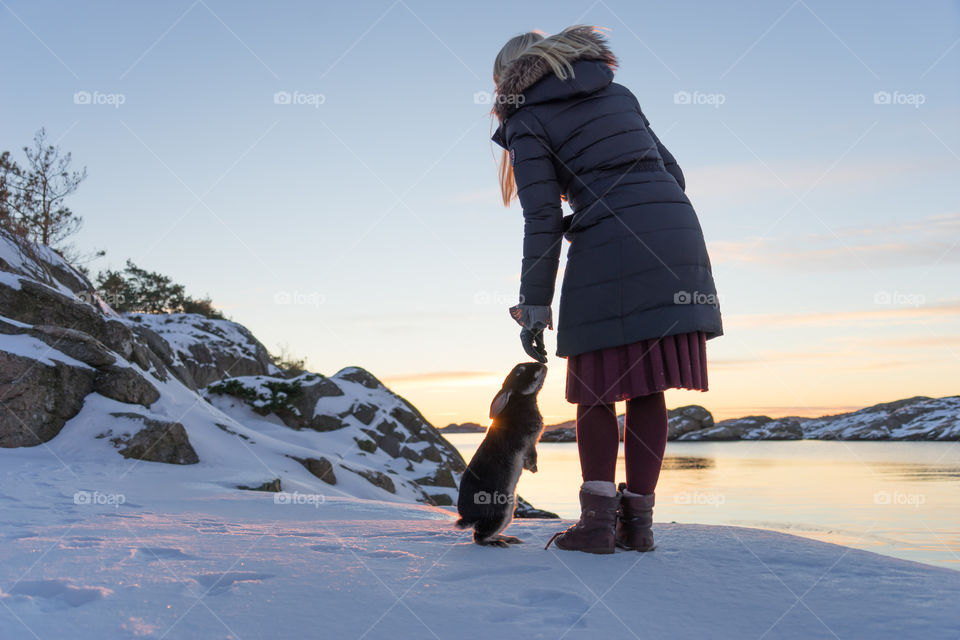 Winter Bunny