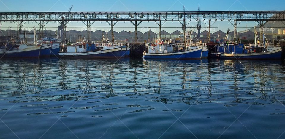 Fishing boats (Cape Town)