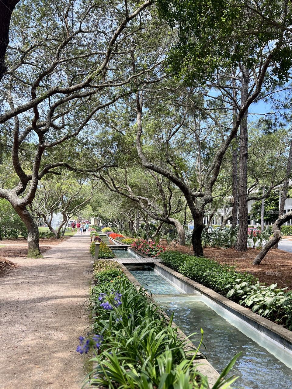 Lovely scene in city park in springtime. Elegant tree limbs create a canopy over a walking path, rows of blooming plants and flowers, and a gently flowing water feature.