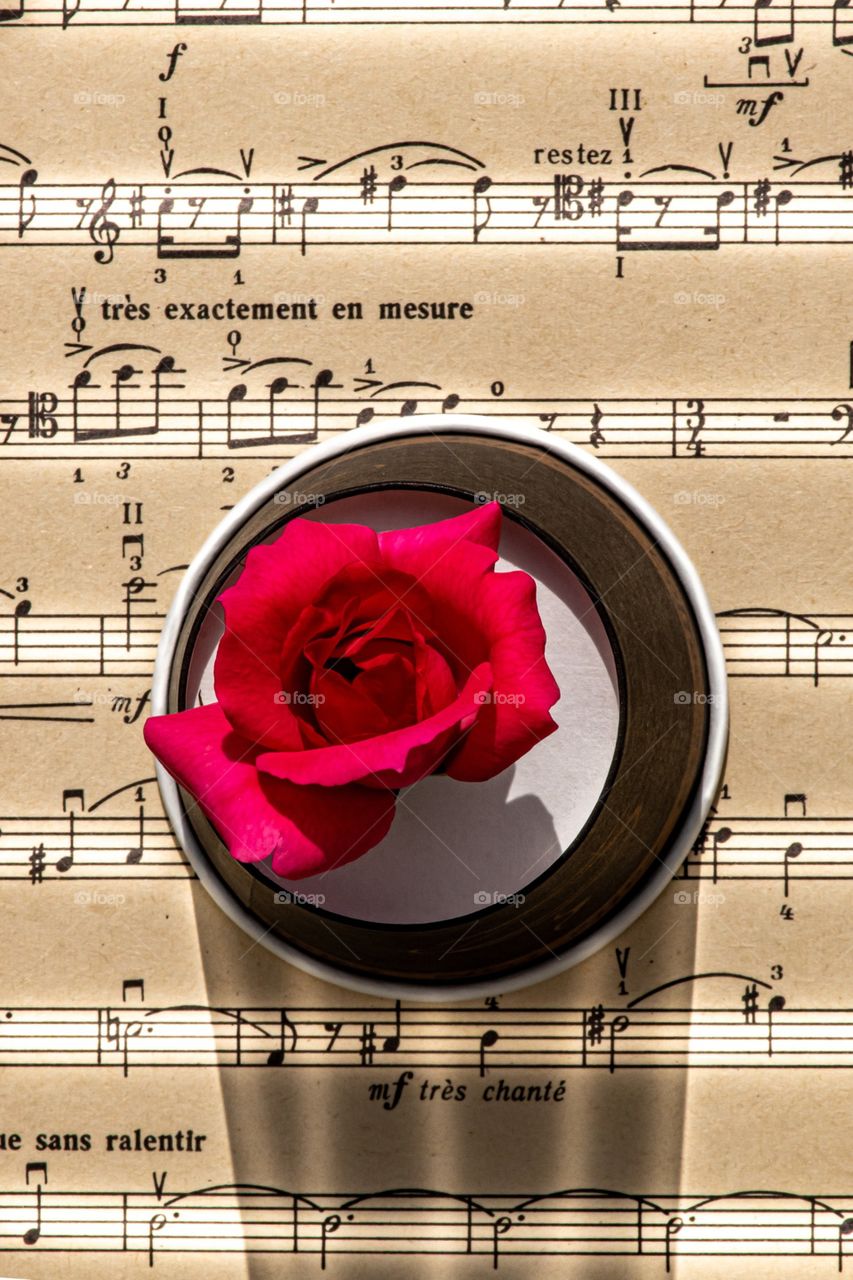 music notes and rose