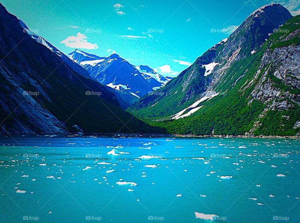 TRACY ARM FJORD