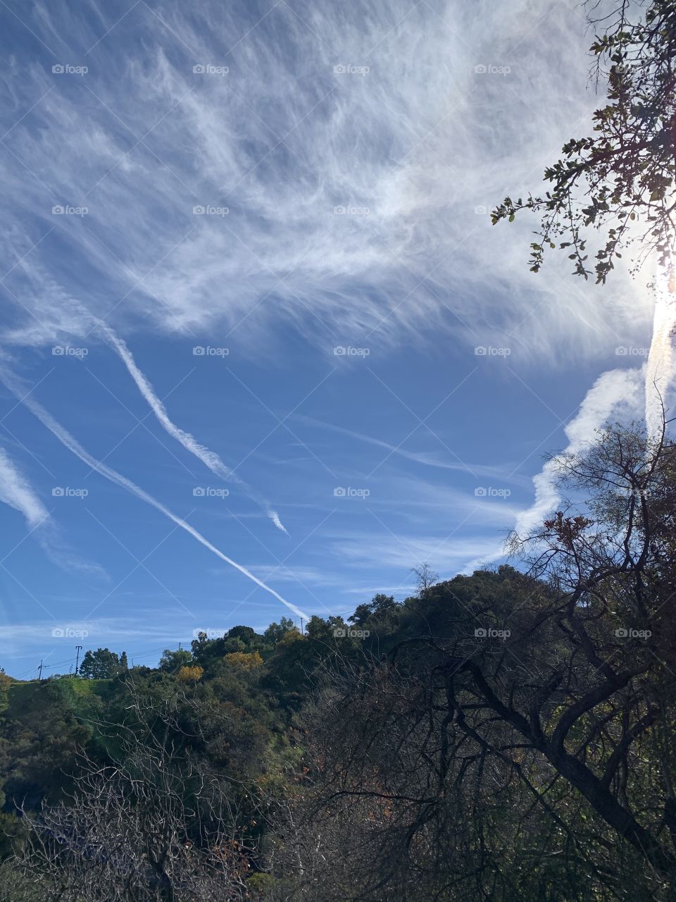 Cloudy fall sky