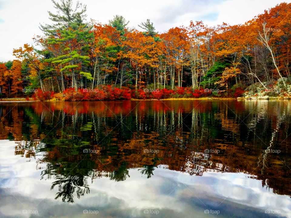 Autumn trees reflecting in lake