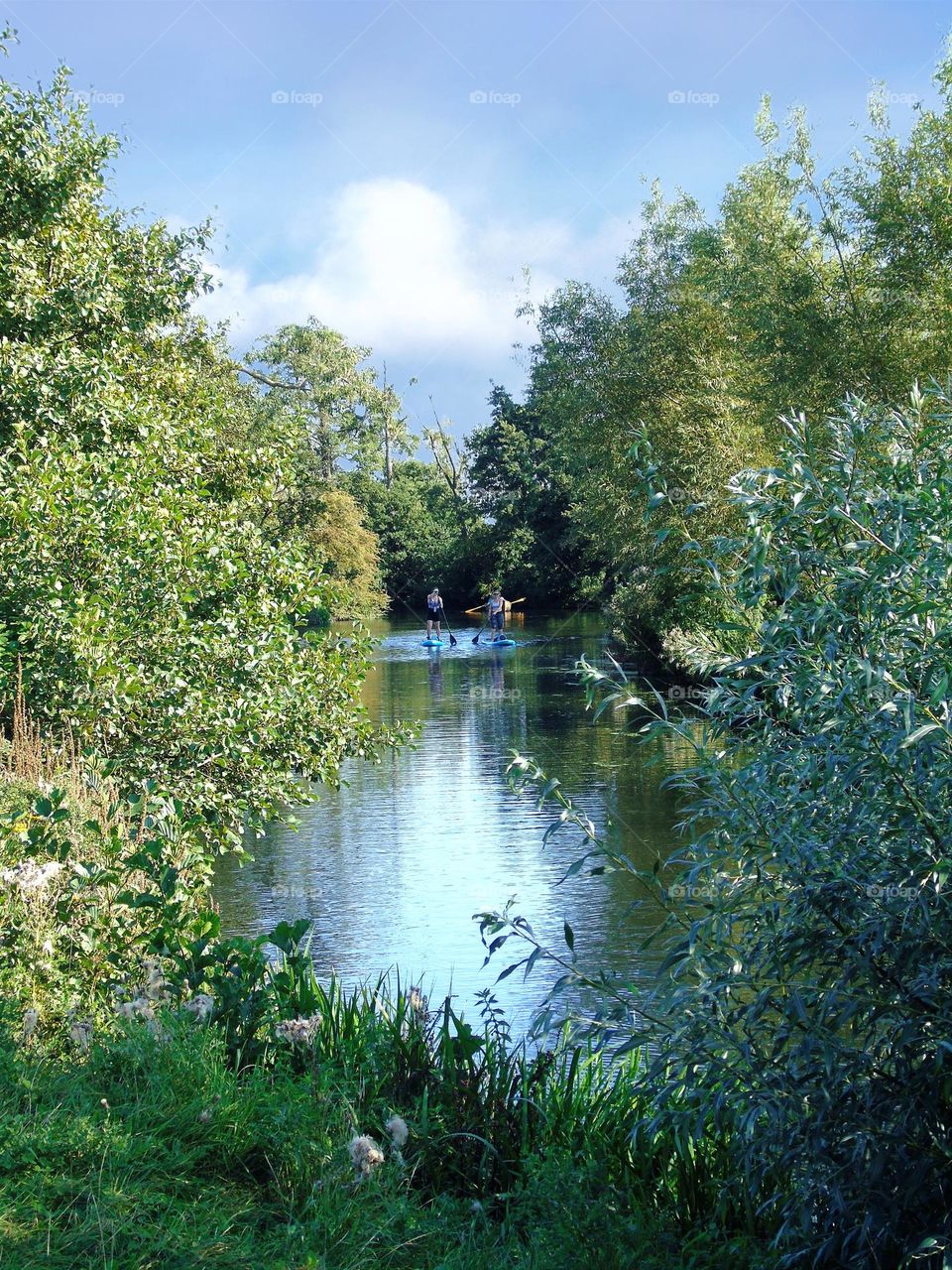 Padle on the Stour River, relaxing, UK