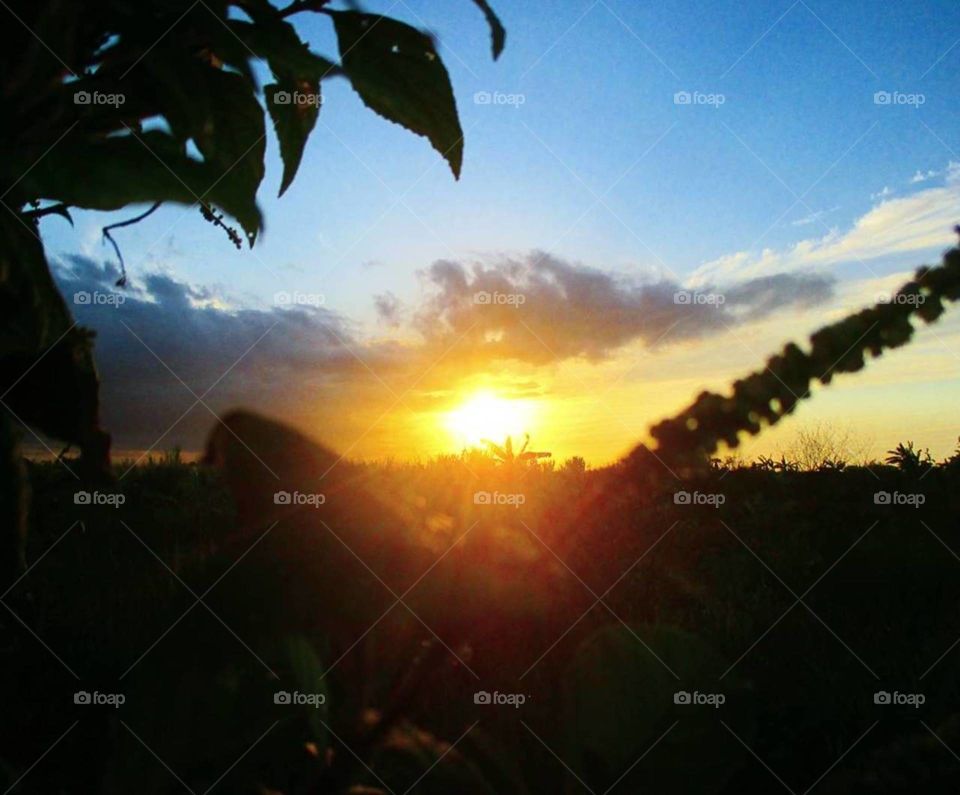 Caribbean sunset