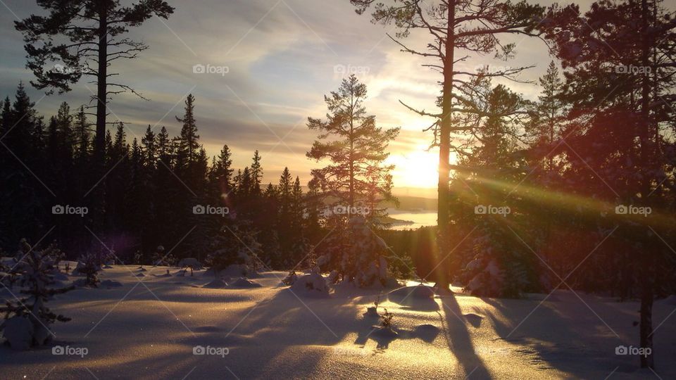 Beautiful winters day in the high coast if sweden