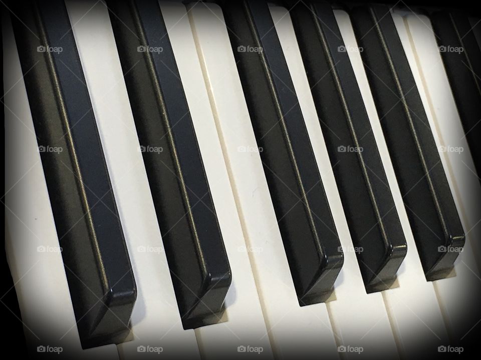 Piano keys. Piano keys
