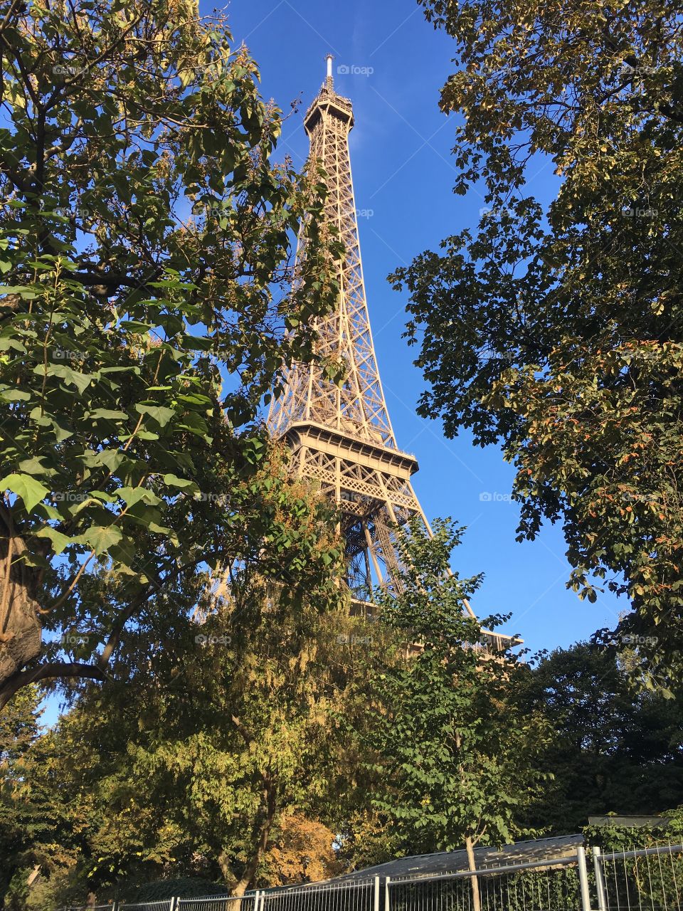 The Eiffel Tower