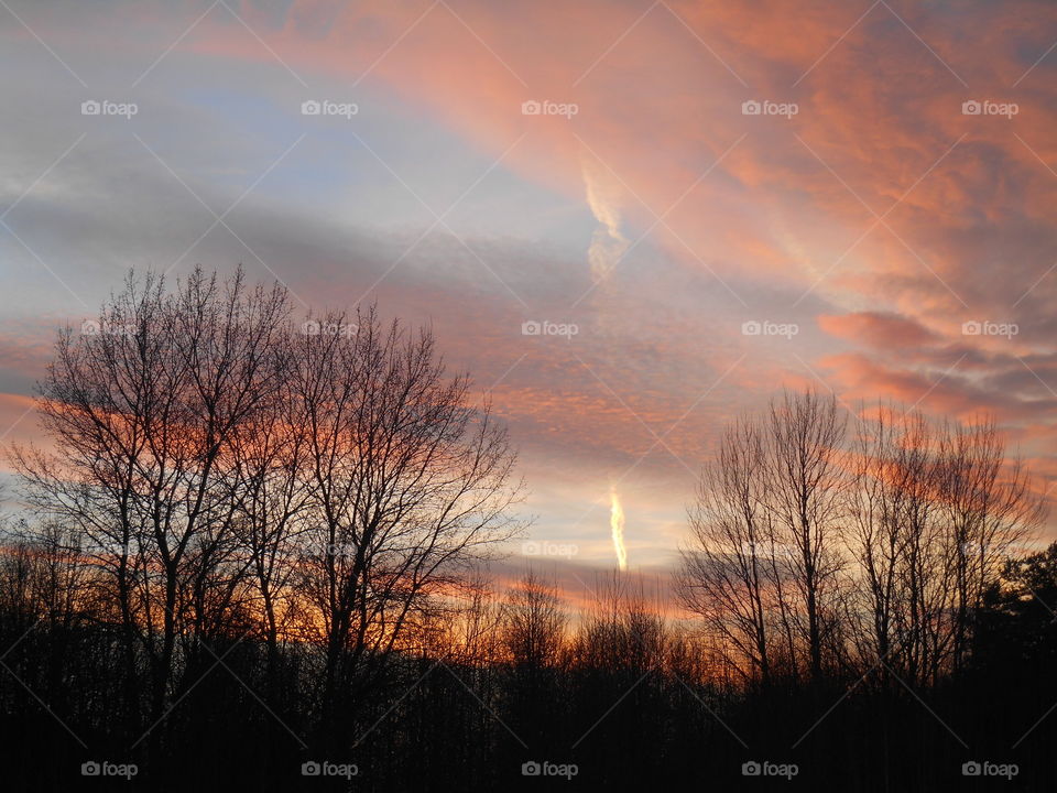 sunset sky colorful and trees landscape