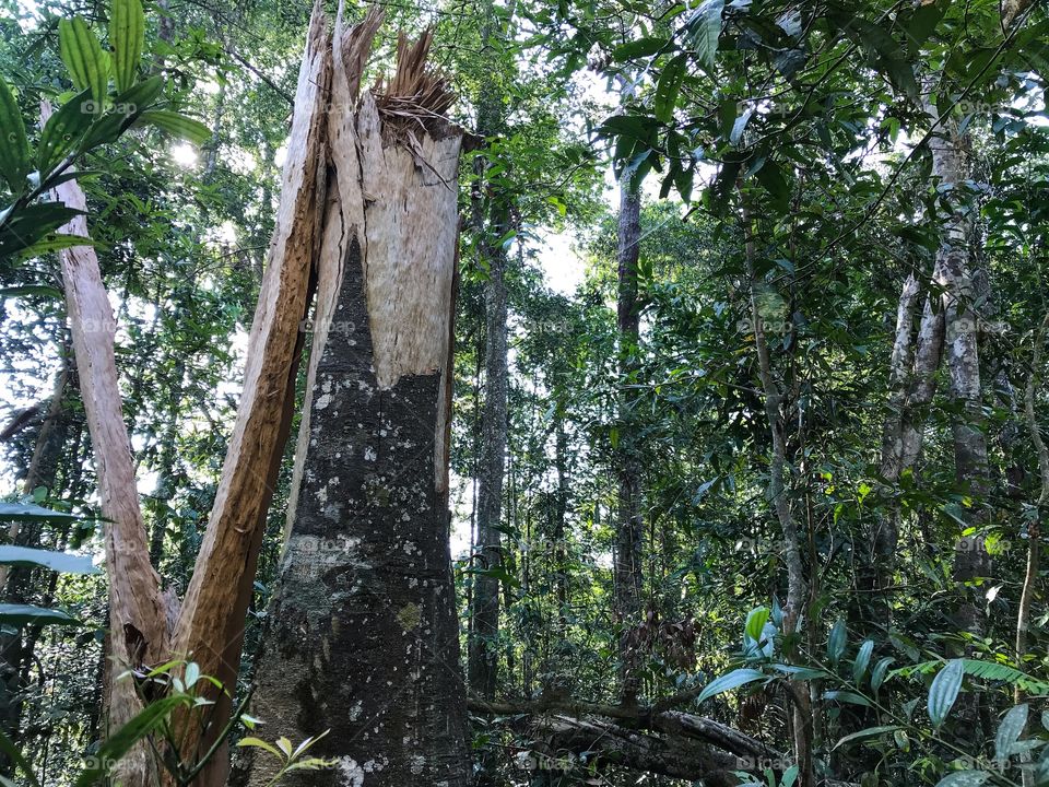 Nothing can stay forever 