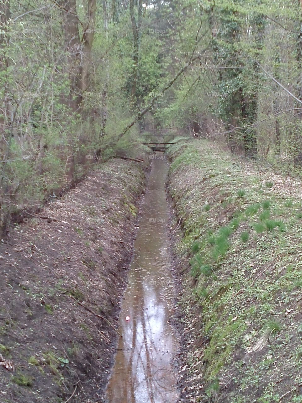 bridge over the stream